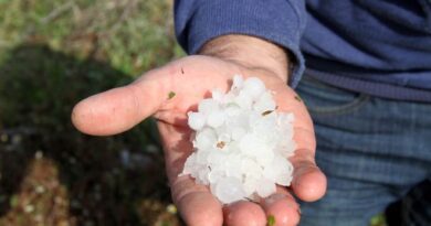 ΕΛΓΑ: Υπεγράφη η σύμβαση για την χαλαζική προστασία