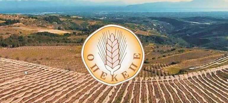Παράταση προθεσμίας υποβολής Ενιαίας Αίτησης Ενίσχυσης (ΕΑΕ) 2025