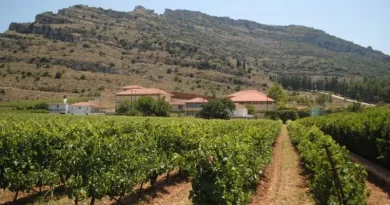 Ξεκινούν οι εγγραφές στις Σχολές του ΕΛΓΟ - ΔΗΜΗΤΡΑ