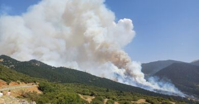 Μαίνεται η μεγάλη δασική πυρκαγιά Μοσιά –Καστανιάς