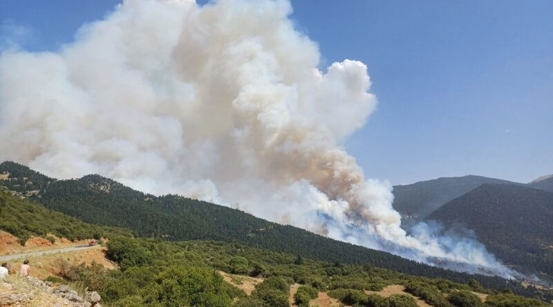 Μαίνεται η μεγάλη δασική πυρκαγιά Μοσιά –Καστανιάς