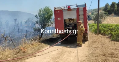 Αρχαία Νεμέα: Άμεση κατάσβεση της πυρκαγιάς