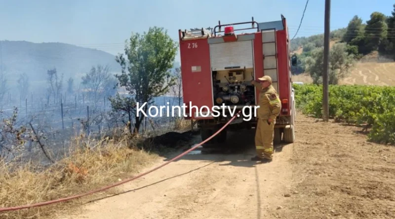 Αρχαία Νεμέα: Άμεση κατάσβεση της πυρκαγιάς