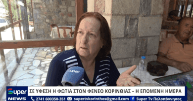 Σε ύφεση η φωτιά στο Φενεό Κορινθίας - Η επόμενη ημέρα