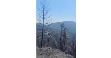 Γιάννης Σιάτος: Δυστυχώς, η Καστανιά μας κάηκε ολοσχερώς