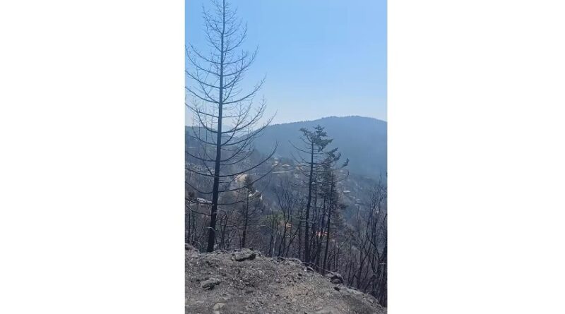 Γιάννης Σιάτος: Δυστυχώς, η Καστανιά μας κάηκε ολοσχερώς