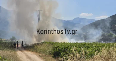 Πυρκαγιά σε ξερά χόρτα στα Αηδόνια Νεμέας