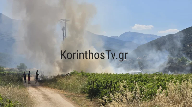 Πυρκαγιά σε ξερά χόρτα στα Αηδόνια Νεμέας