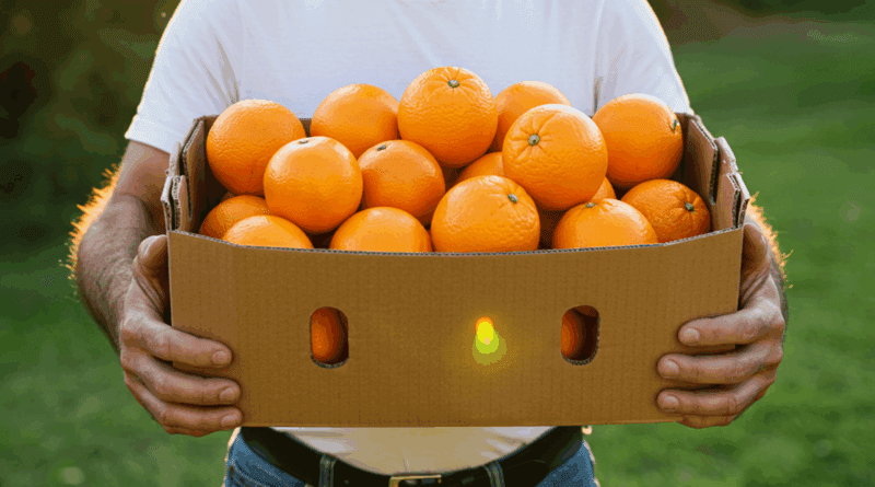 Αργολίδα: Το σκάνδαλο του ΟΠΕΚΕΠΕ και τα πορτοκάλια «φάντασμα»