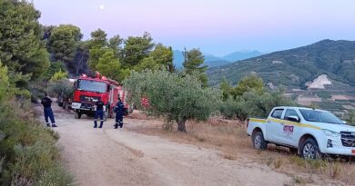 Συνελήφθη 27χρονος Γερμανός που προκάλεσε πυρκαγιά στην Αρχαία Νεμέα