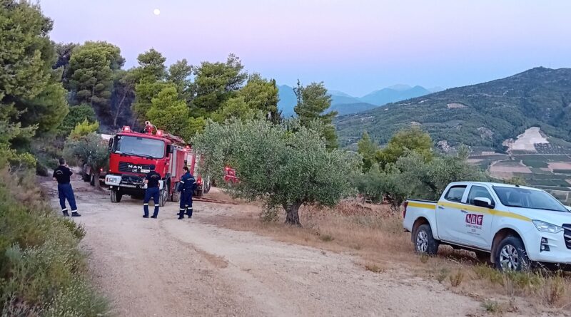Συνελήφθη 27χρονος Γερμανός που προκάλεσε πυρκαγιά στην Αρχαία Νεμέα