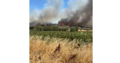 Πυρκαγιά σε αγροτοδασική έκταση στην Αρχαία Νεμέα κοντά σε σπίτια