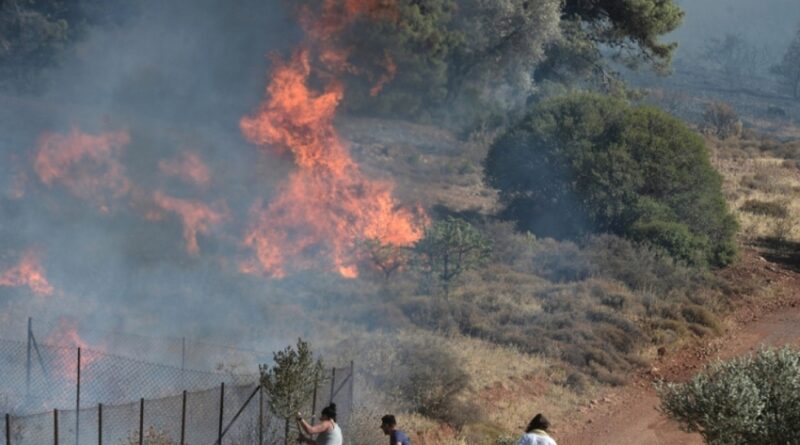 Δήμος Νεμέας: Δηλώσεις ζημιάς για πυρόπληκτους καλλιεργητές στην Αρχαία Νεμέα