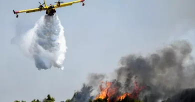 Πυρκαγιά στην Ερμιόνη - Κινητοποιήθηκαν ισχυρές πυροσβεστικές δυνάμεις