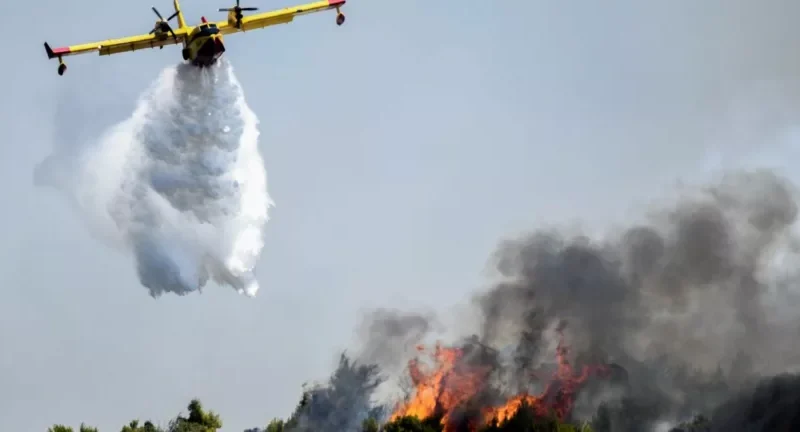 Πυρκαγιά στην Ερμιόνη - Κινητοποιήθηκαν ισχυρές πυροσβεστικές δυνάμεις