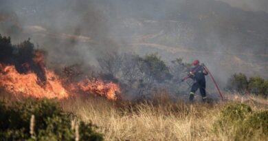 Υπό έλεγχο οι φωτιές σε Φίχτια, Νεμέα και Λουτράκι