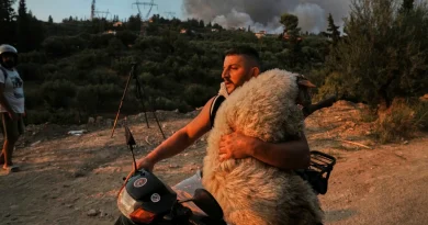 Η ανθρωπιά σε μια εικόνα: Νεαρός έσωσε πρόβατο από τις φλόγες στην Πάτρα, αγκαλιά πάνω σε μηχανάκι