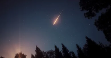 “Sunshine and Starshine” | Βραδιά θερινού σινεμά και αστροπαρατήρησης στο Μουσείο Περιβάλλοντος Στυμφαλίας