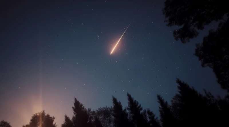 “Sunshine and Starshine” | Βραδιά θερινού σινεμά και αστροπαρατήρησης στο Μουσείο Περιβάλλοντος Στυμφαλίας