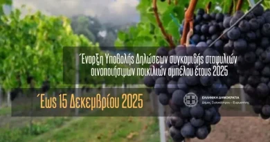 Έναρξη Υποβολής Δηλώσεων συγκομιδής σταφυλιών οινοποιήσιμων ποικιλιών αμπέλου έτους 2025