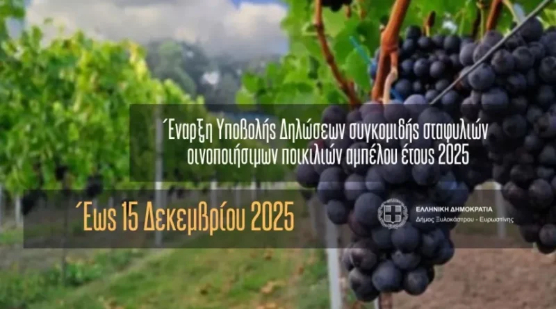 Έναρξη Υποβολής Δηλώσεων συγκομιδής σταφυλιών οινοποιήσιμων ποικιλιών αμπέλου έτους 2025