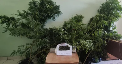  Βέλο - Βόχα: Συνελήφθη 1 άτομο για ναρκωτικά 