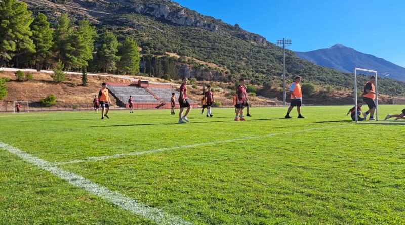 Ξεκίνημα για την Ακαδημία Παννεμεατικού