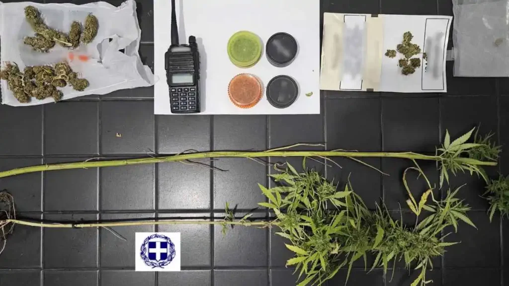 Κορινθία: Συνελήφθησαν δύο άτομα για φυτά κάνναβης και παράνομο ασύρματο