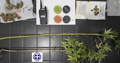 Κορινθία: Συνελήφθησαν δύο άτομα για φυτά κάνναβης και παράνομο ασύρματο