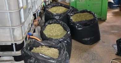 Μεσσηνία: Κατασχέθηκαν πάνω από 57 κιλά κάνναβης και 12 δενδρύλλια κάνναβης