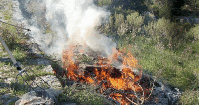 Νεμέα: Πρόστιμο 1.875 ευρώ για φωτιά σε οικόπεδο