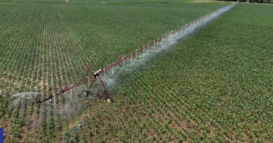 ΟΠΕΚΕΠΕ: Στο στόχαστρο της Αρχής για το Ξέπλυμα Μαύρου Χρήματος ο «Φραπές» – «Αδικαιολόγητα» 2,5 εκατ. ευρώ και η Jaguar