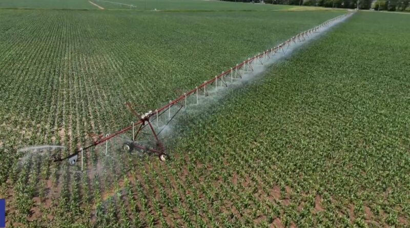 ΟΠΕΚΕΠΕ: Στο στόχαστρο της Αρχής για το Ξέπλυμα Μαύρου Χρήματος ο «Φραπές» – «Αδικαιολόγητα» 2,5 εκατ. ευρώ και η Jaguar