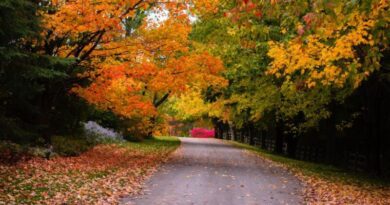 Οκτώβριος – Καλό μήνα