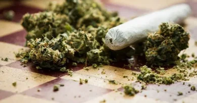 Κιάτο: Συνελήφθη 49χρονος με μικροποσότητα και δύο τσιγαριλίκια κάνναβης