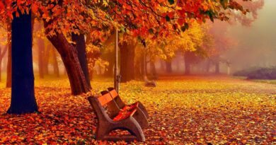 Νοέμβριος – Καλό Μήνα!