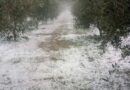 Τ.Ε. Κορινθίας ΚΚΕ: Άμεσες εκτιμήσεις και γρήγορες αποζημιώσεις στο 100% της ζημιάς, για τους αγρότες της Κορινθίας που επλήγησαν από το χαλάζι!