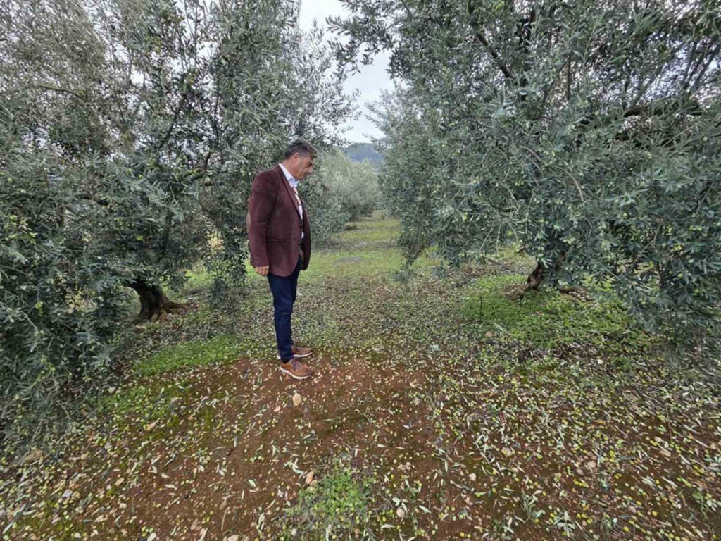 Χαλαζόπτωση | Κλιμάκια του ΕΛΓΑ στις πληγείσες περιοχές μετά από πρωτοβουλία της Περιφέρειας Πελοποννήσου