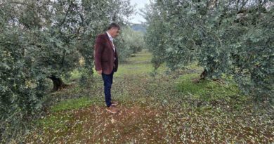 Χαλαζόπτωση | Κλιμάκια του ΕΛΓΑ στις πληγείσες περιοχές μετά από πρωτοβουλία της Περιφέρειας Πελοποννήσου