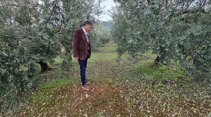 Χαλαζόπτωση | Κλιμάκια του ΕΛΓΑ στις πληγείσες περιοχές μετά από πρωτοβουλία της Περιφέρειας Πελοποννήσου