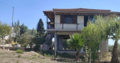 Πωλείται κατοικία 125 τ.μ. στο Μποζικά Κορινθίας σε οικόπεδο 2.200 τ.μ. με ελαιώνα -ΦΩΤΟ