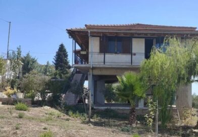 Πωλείται κατοικία 125 τ.μ. στο Μποζικά Κορινθίας σε οικόπεδο 2.200 τ.μ. με ελαιώνα -ΦΩΤΟ