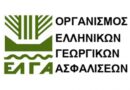 ΕΛΓΑ: Παράταση εισφοράς και επιτάχυνση αποζημιώσεων με τροπολογία του ΥΠΑΑΤ