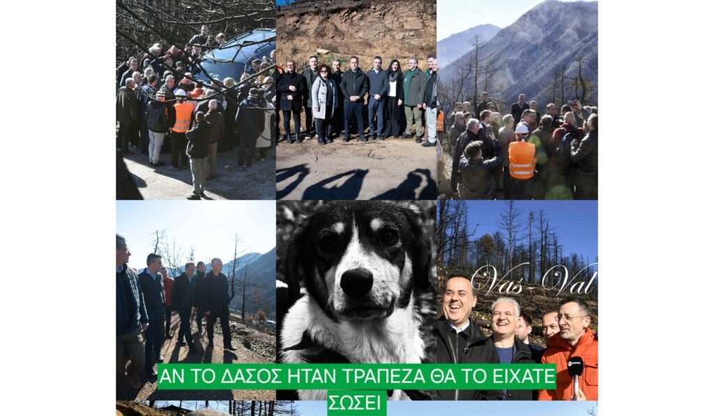 Σιάτος: Προσβλητικές εικόνες στα καμένα της Κορινθίας.