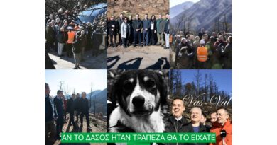 Σιάτος: Προσβλητικές εικόνες στα καμένα της Κορινθίας.