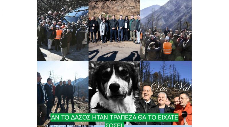 Σιάτος: Προσβλητικές εικόνες στα καμένα της Κορινθίας.