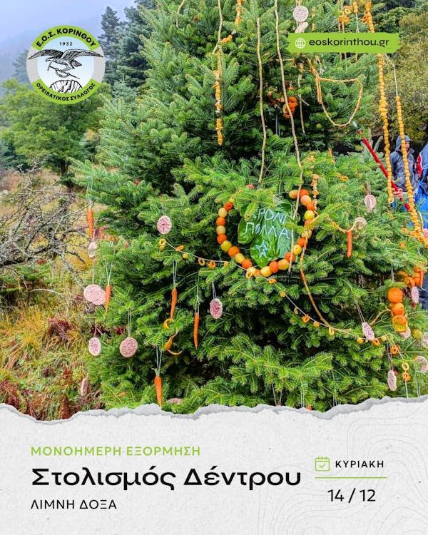 ΕΟΣ Κορίνθου: Στολισμός Χριστουγεννιάτικου Δέντρου στη Λίμνη Δόξα