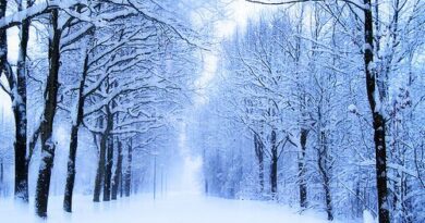 Καλό μήνα! Δεκέμβριος ο τελευταίος μήνας του χρόνου