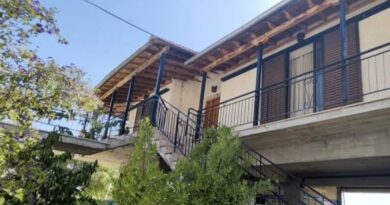 Πωλείται κατοικία 125 τ.μ. στο Μποζικά Κορινθίας σε οικόπεδο 2.200 τ.μ. με ελαιώνα