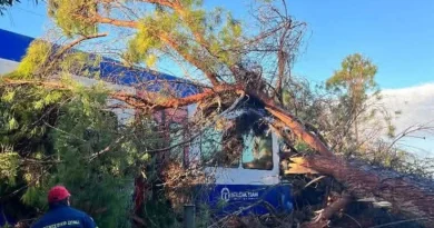 Πύργος: Δέντρο έπεσε σε τρένο, τραυματίστηκε ο μηχανοδηγός